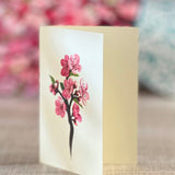 Grande Cherry Blossoms - FreshCut Paper