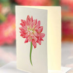 Grande Dear Dahlia - FreshCut Paper