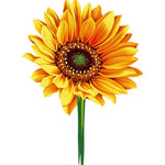 Harvest Sunflower Card - FreshCut Paper