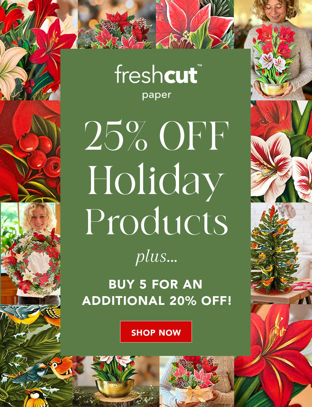FreshCut Paper Pop-Up Holiday Bouquet Collection