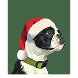 Holiday Boston Terrier Card