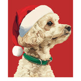 Holiday Poodle Card