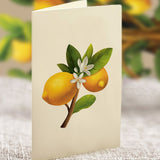 Lemon Blossom Tree - FreshCut Paper