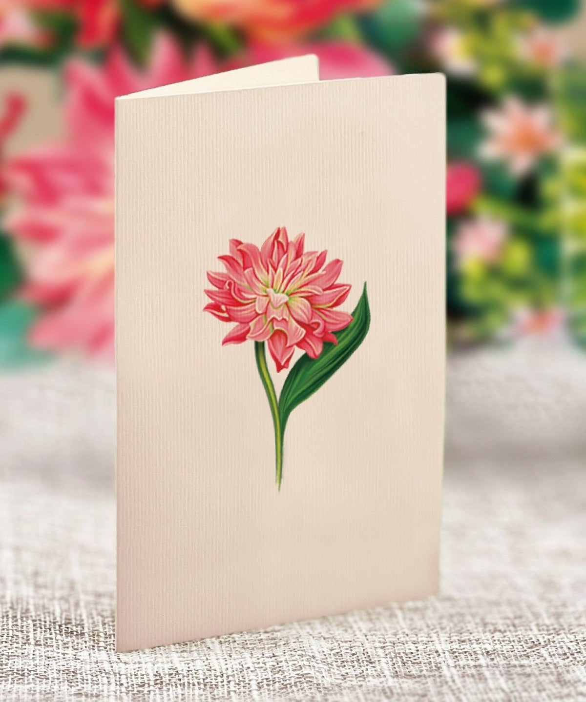 Mini Dear Dahlia - FreshCut Paper