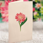 Mini Dear Dahlia - FreshCut Paper