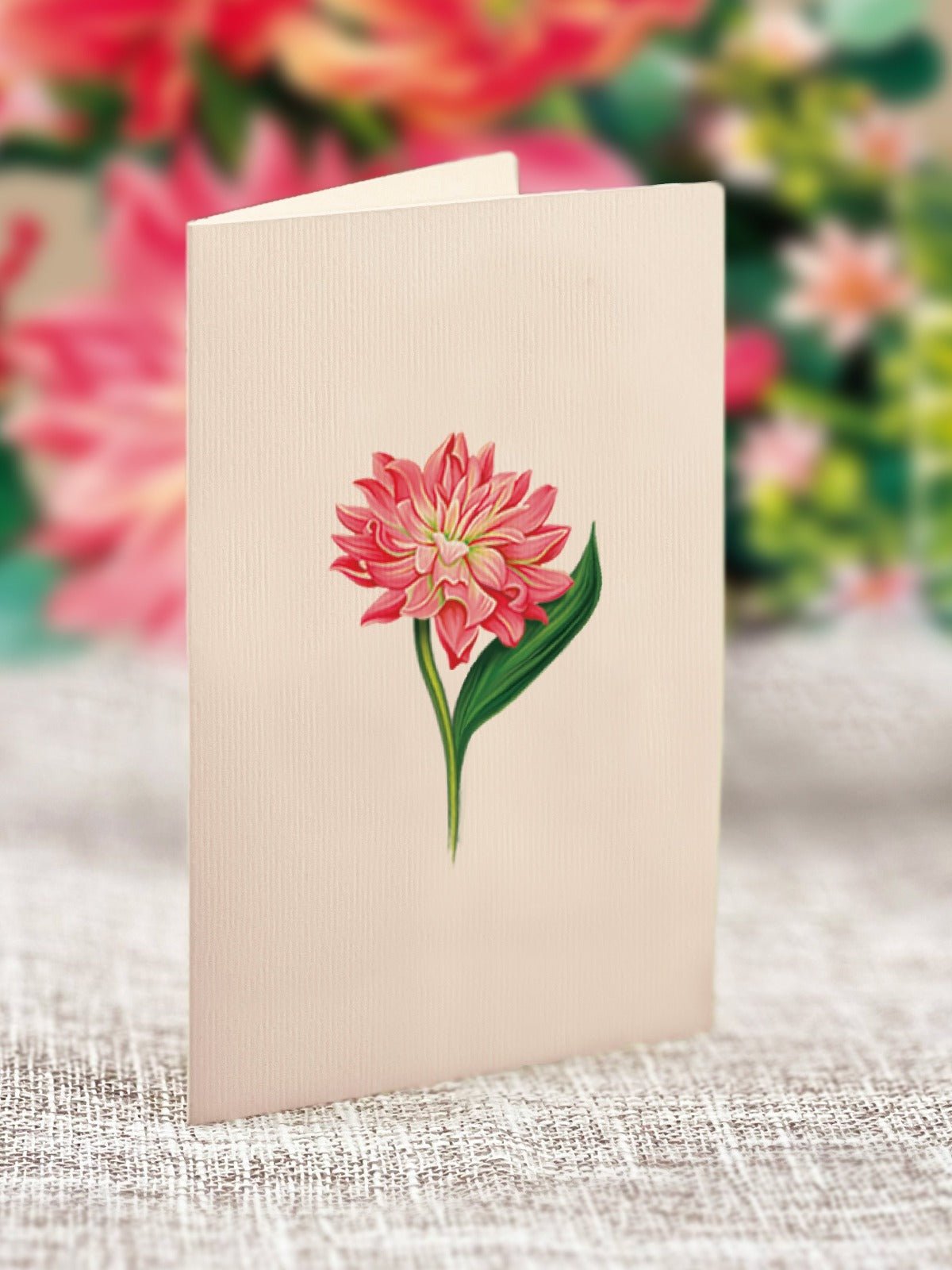 Mini Dear Dahlia - FreshCut Paper