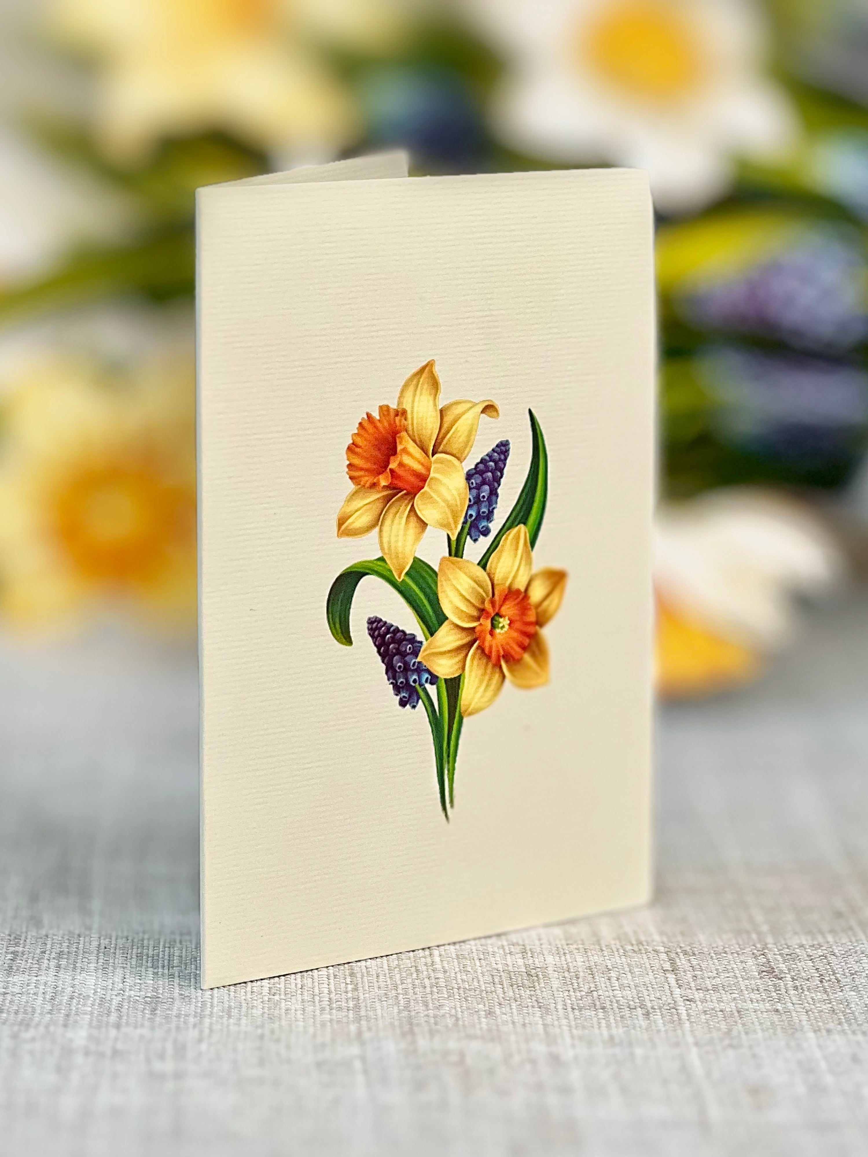 Mini English Daffodil Gift - FreshCut Paper