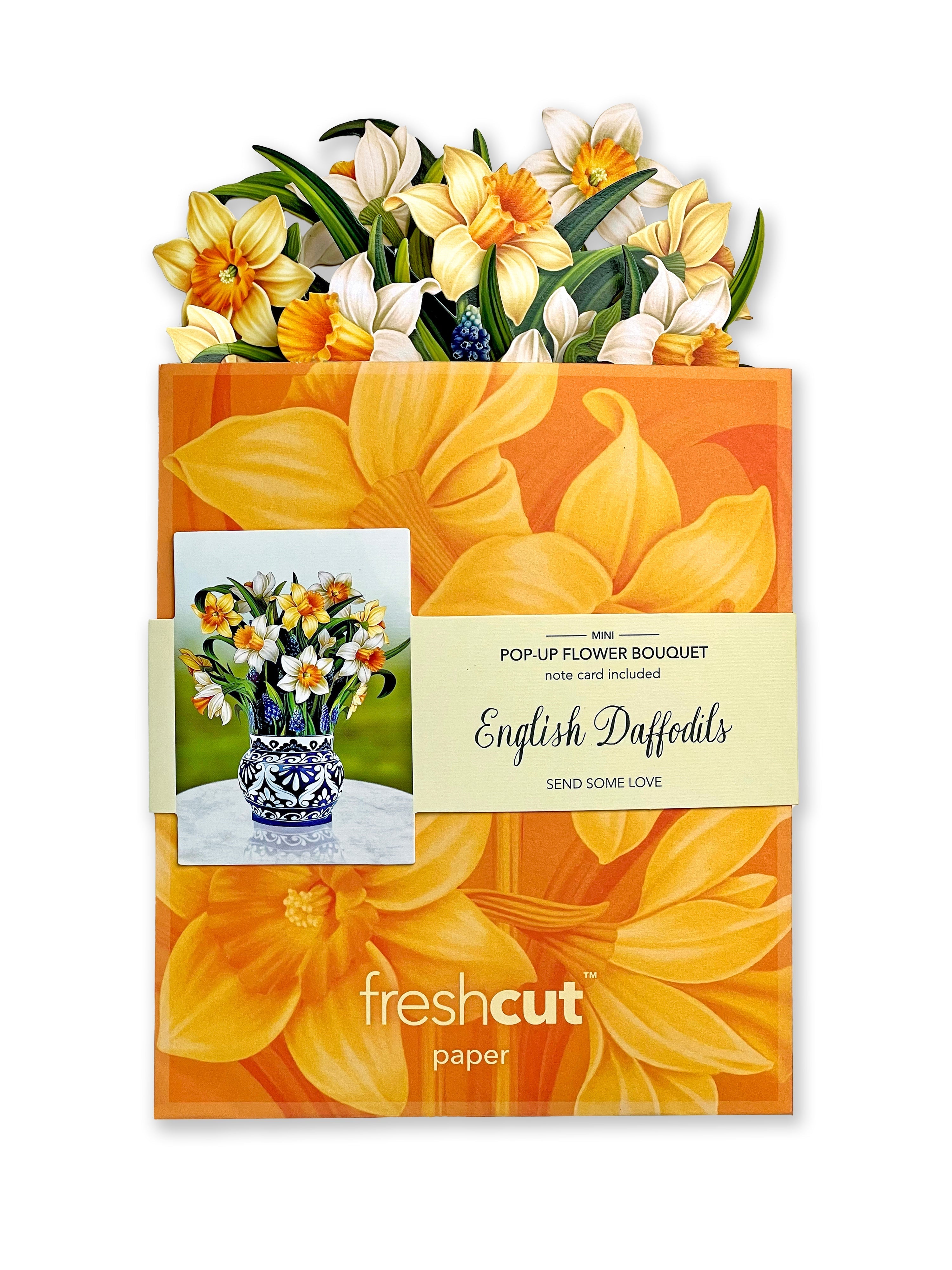 Mini English Daffodil Gift - FreshCut Paper