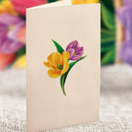 Mini Festive Tulips - FreshCut Paper