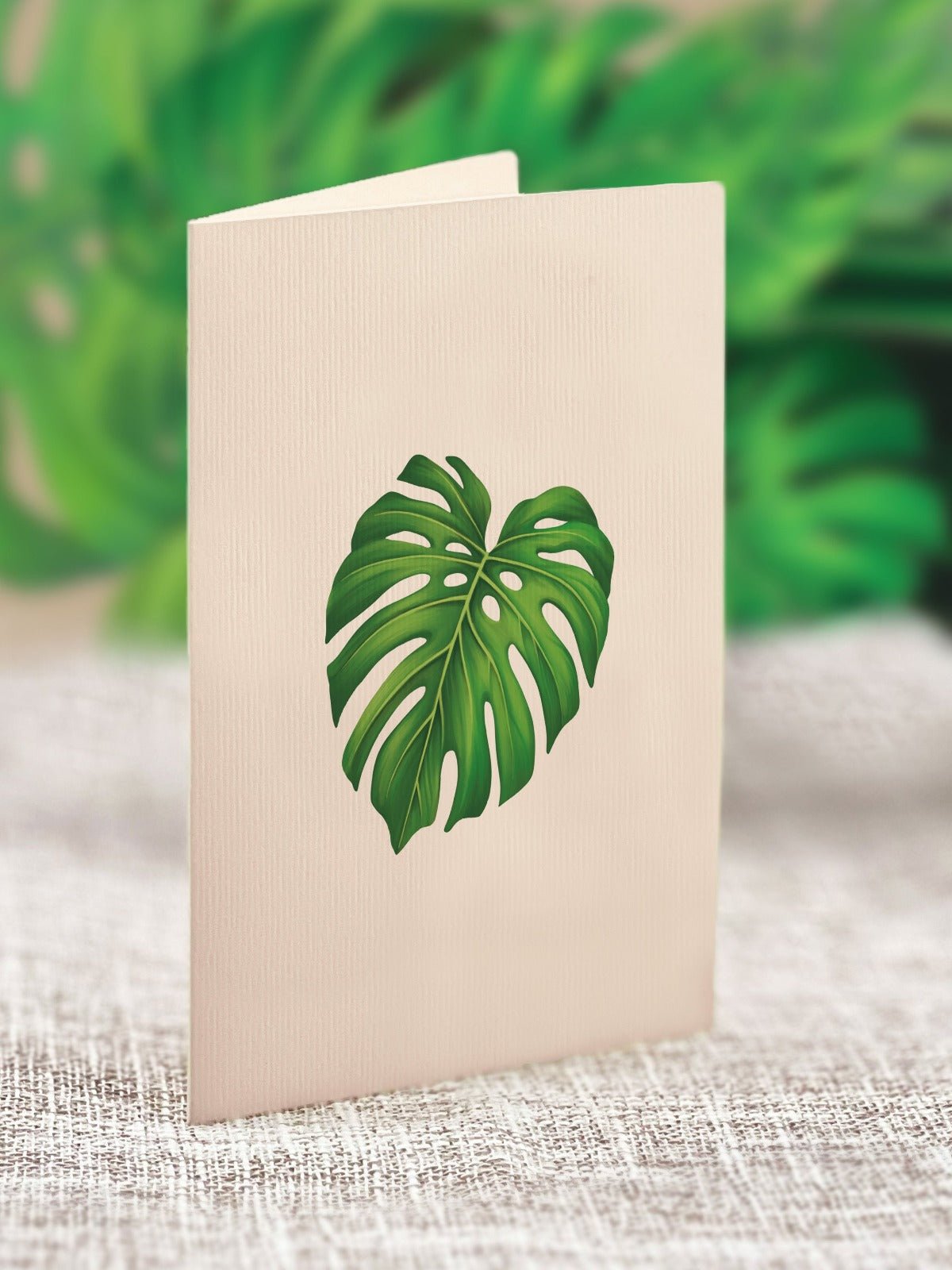 Mini Monstera - FreshCut Paper