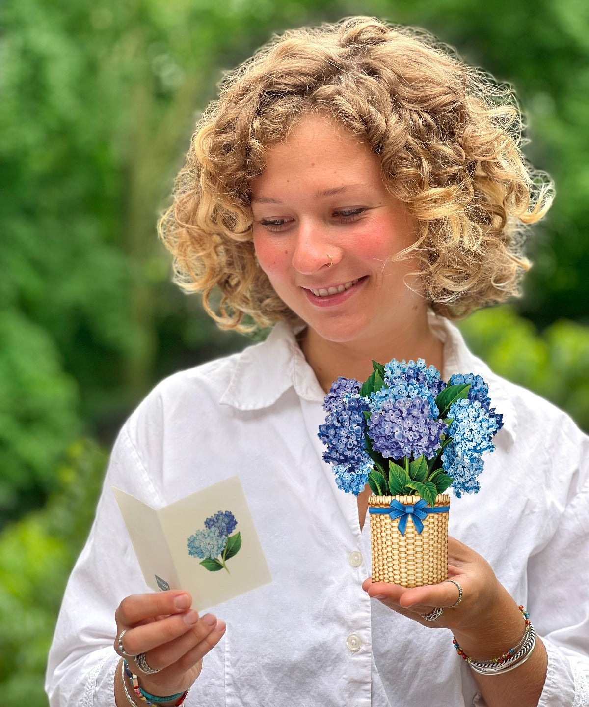 Mini Nantucket Hydrangeas - FreshCut Paper