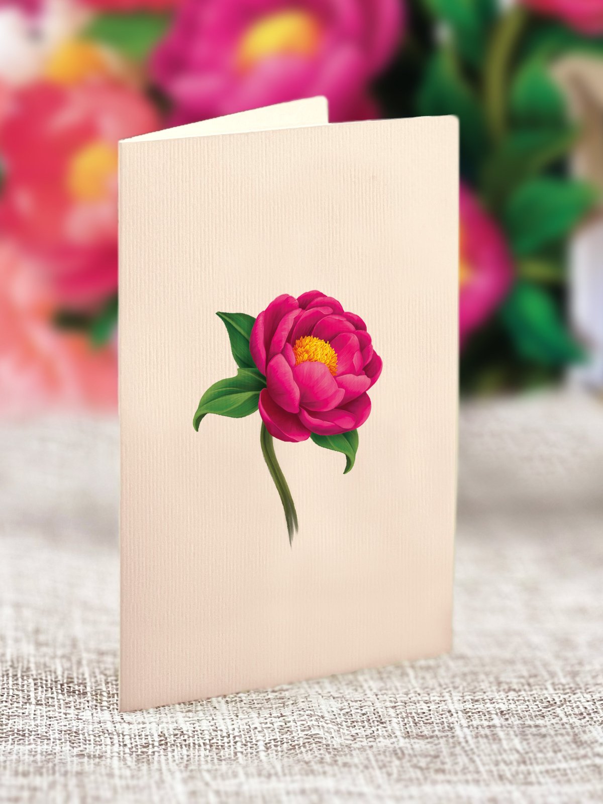 Mini Peony Paradise - FreshCut Paper