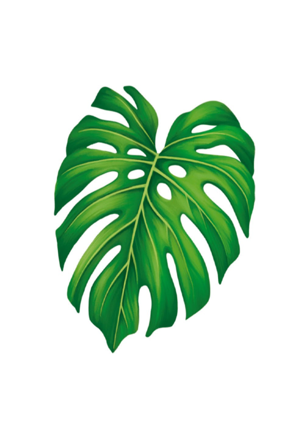 Monstera Card - FreshCut Paper