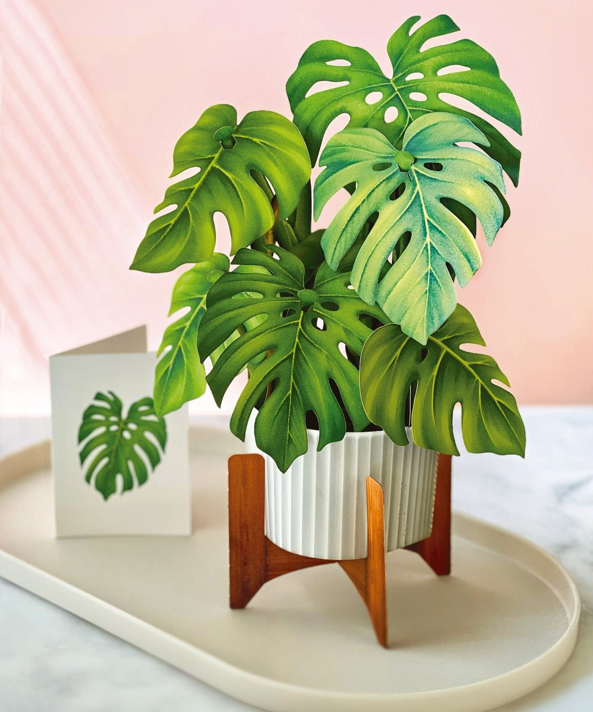 Monstera Plant - FreshCut Paper