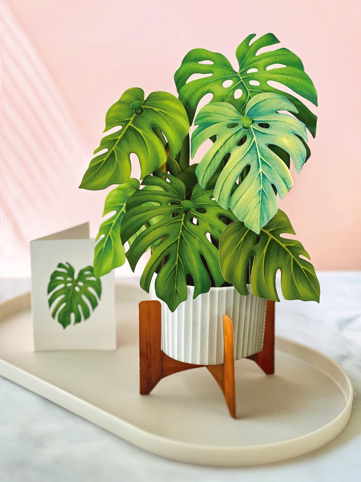 Monstera Plant - FreshCut Paper