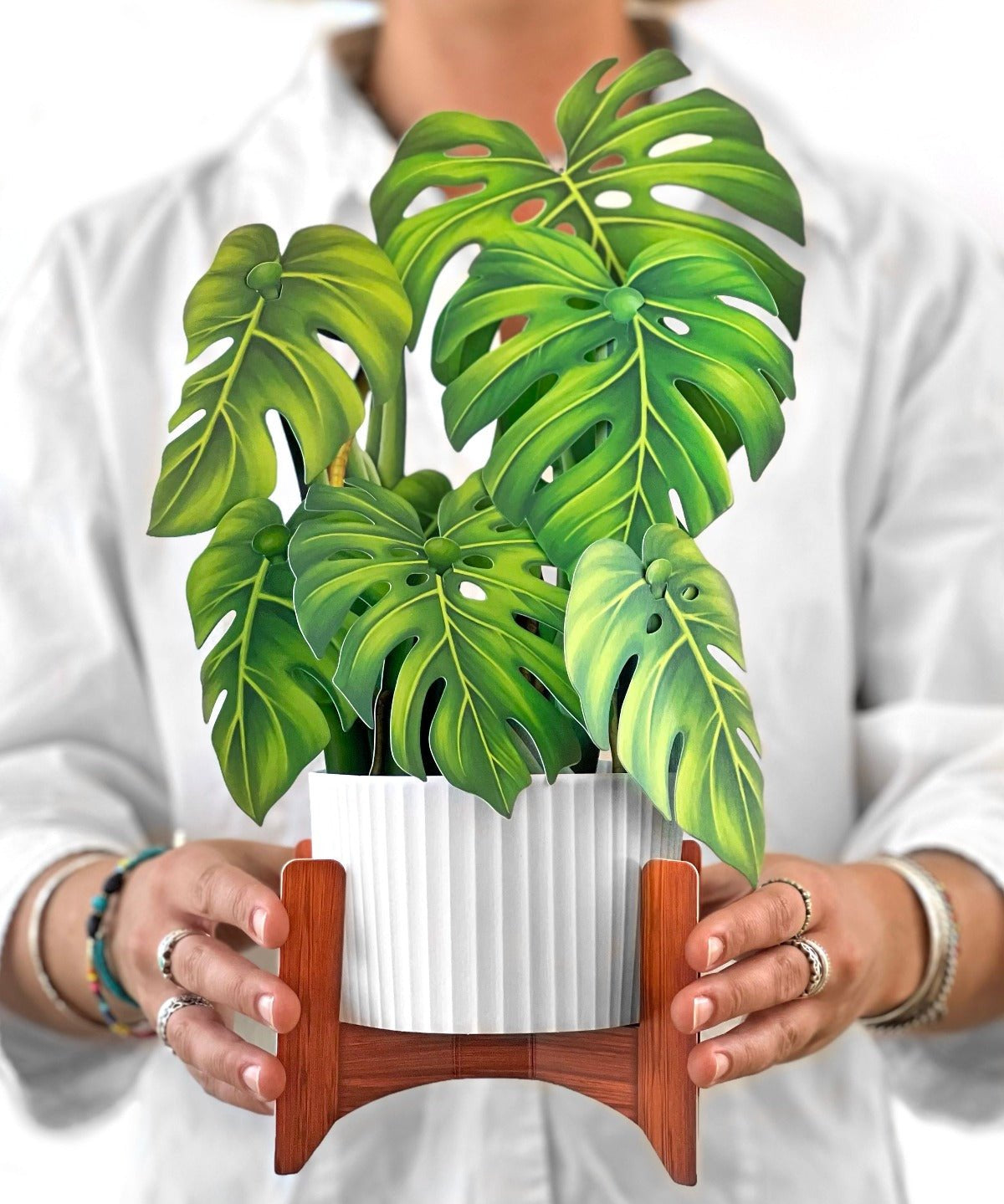 Monstera Plant - FreshCut Paper