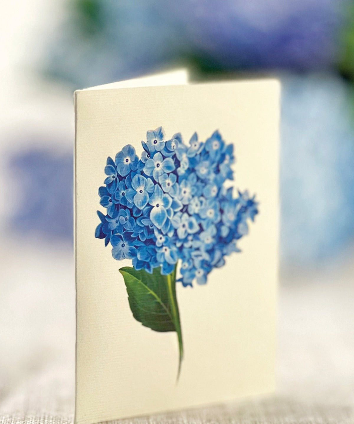 Nantucket Hydrangeas with matching notecard