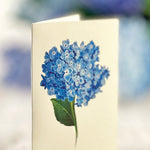 Nantucket Hydrangeas with matching notecard