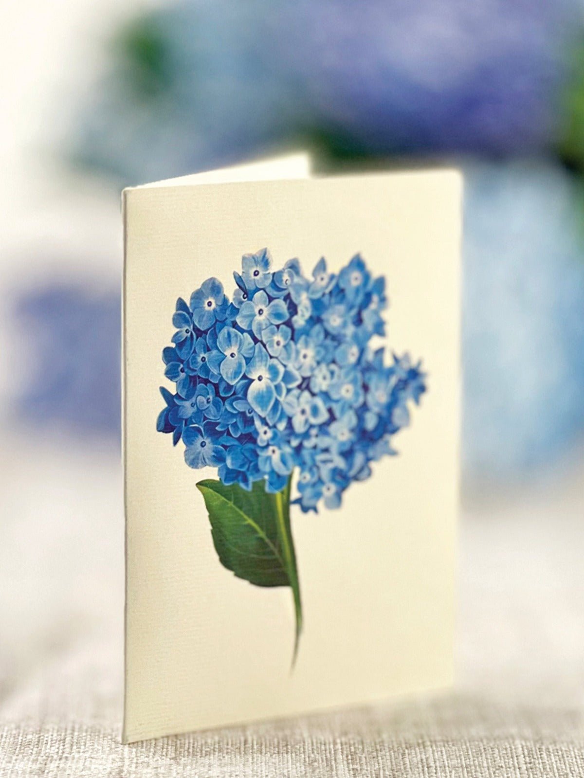 Nantucket Hydrangeas with matching notecard