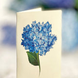 Nantucket Hydrangeas with matching notecard