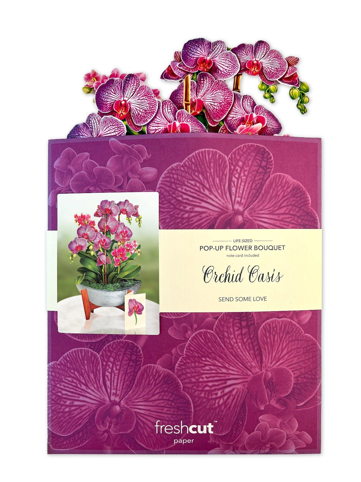 Orchid Oasis - FreshCut Paper