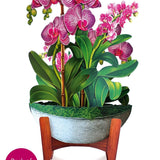 Orchid Oasis - FreshCut Paper