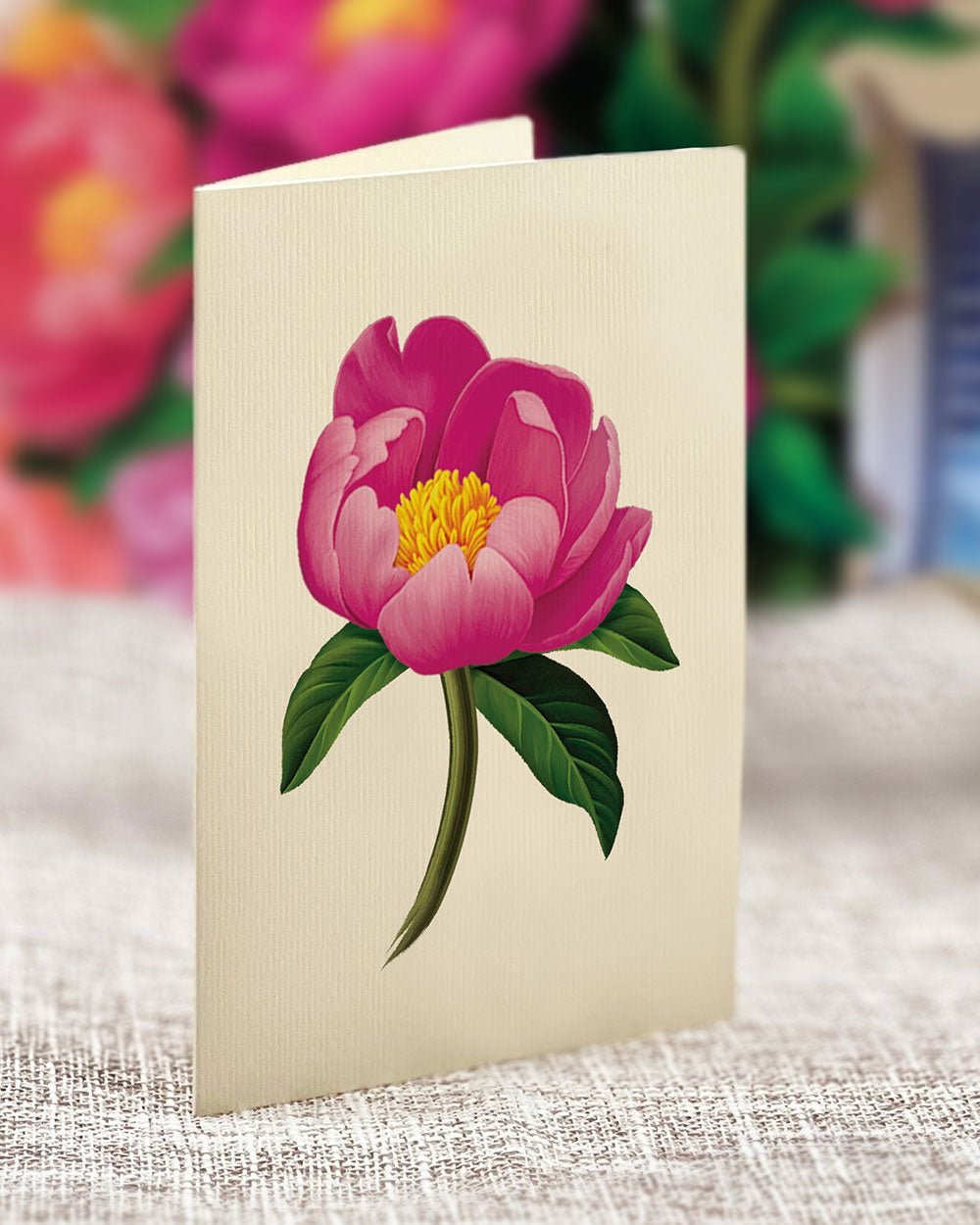 Peony Paradise - FreshCut Paper