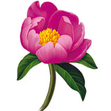 Peony Paradise Card - FreshCut Paper