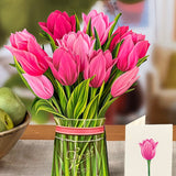 Pink Tulips - FreshCut Paper