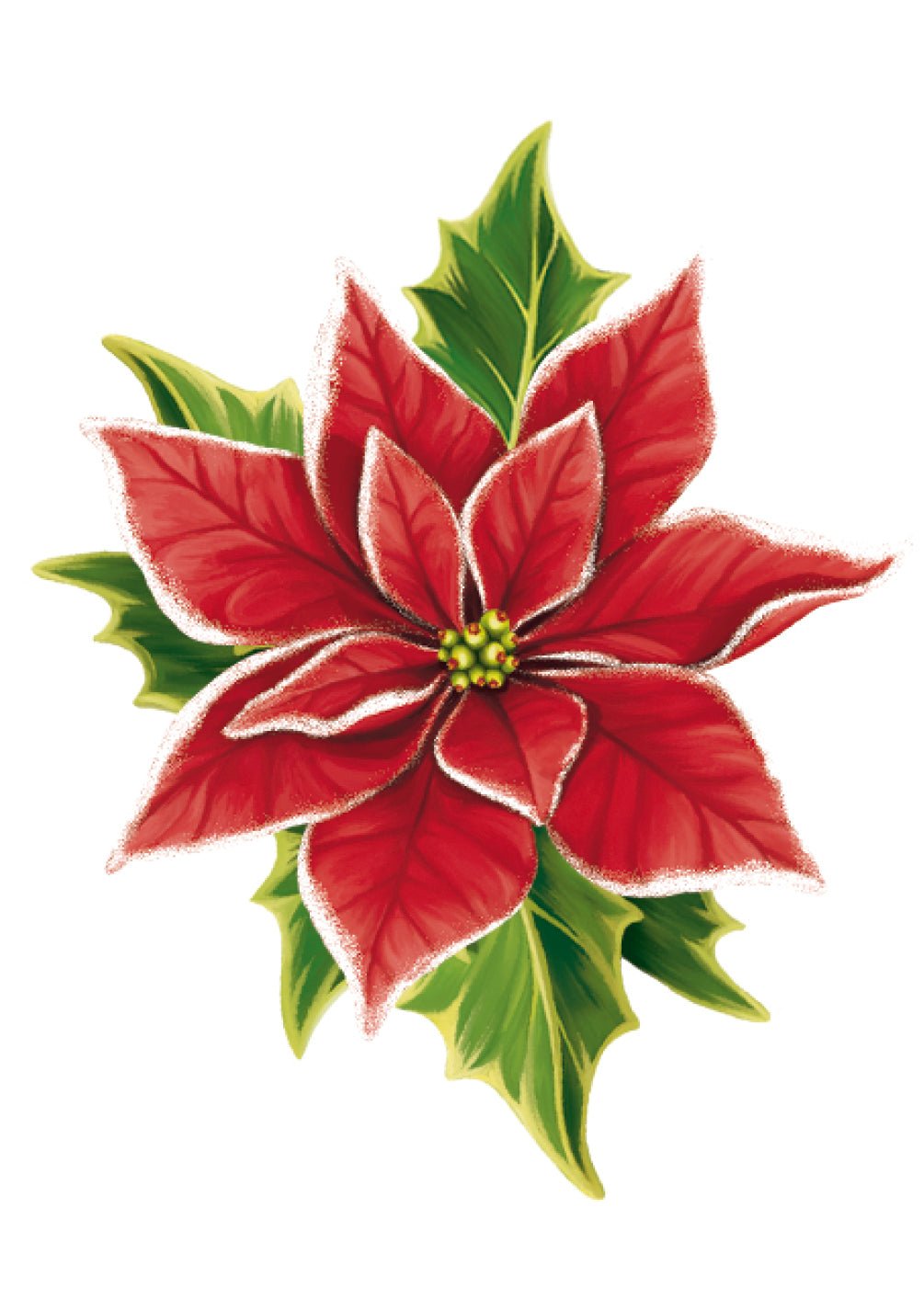 Poinsettia Card - FreshCut Paper