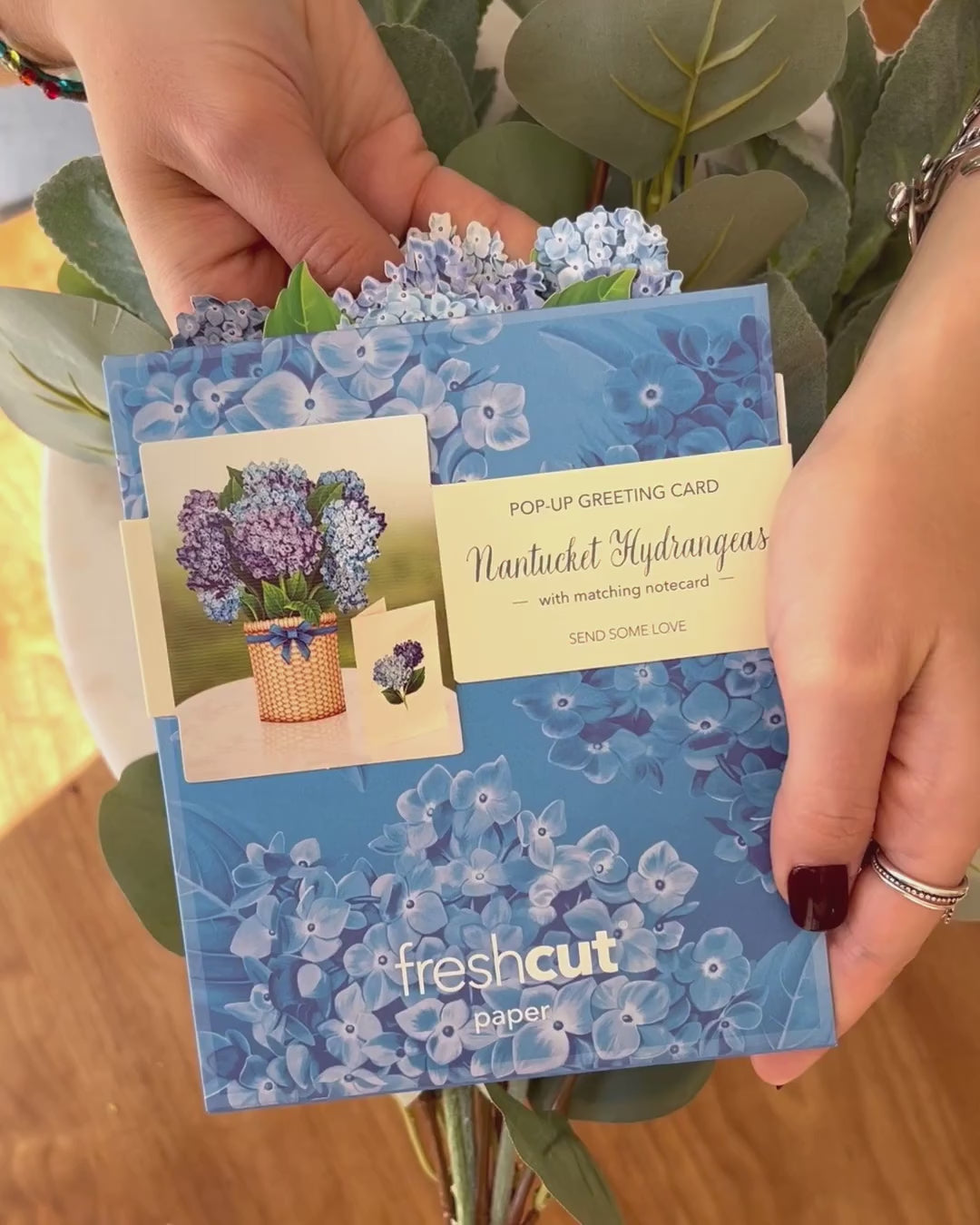 Mini Nantucket Hydrangeas unboxing video