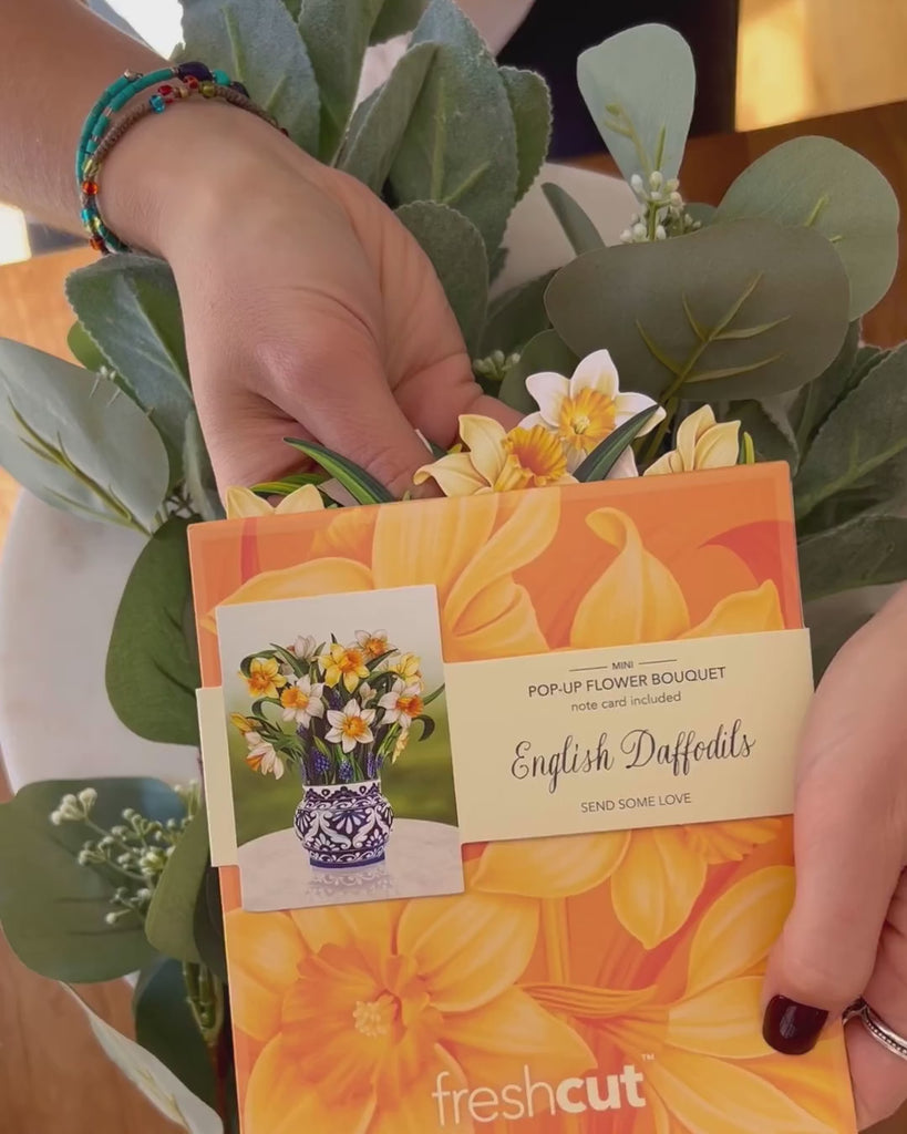 Mini English Daffodils Unboxing Video