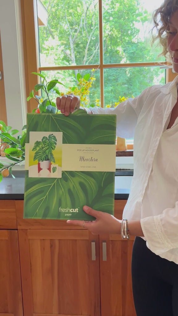 Monstera Unboxing Video