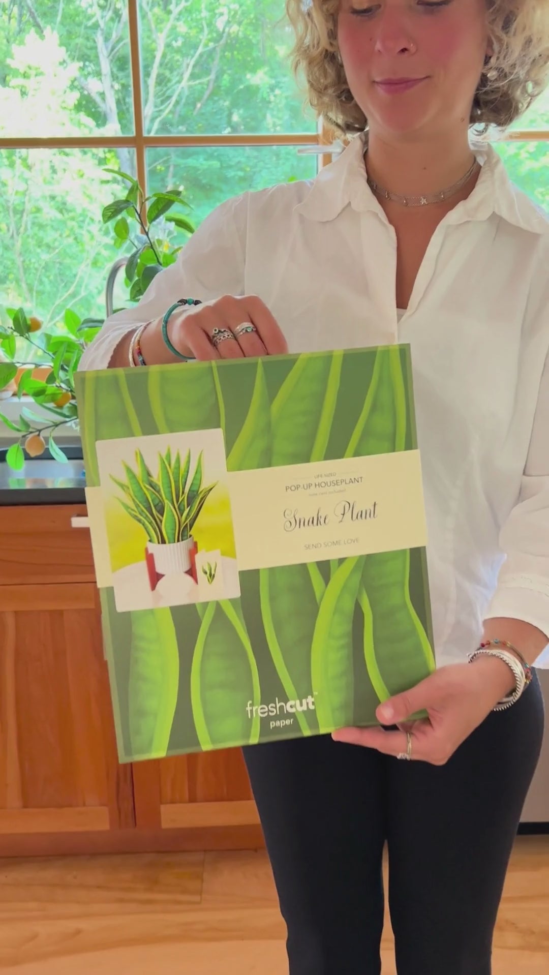 Snake Plant Unboxing Video