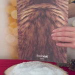 Holiday Brown Tabby Cat Pop-Up unboxing video