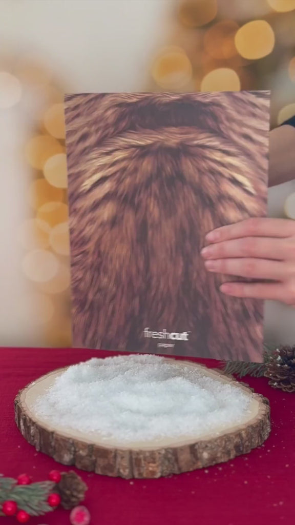 Holiday Brown Tabby Cat Pop-Up unboxing video