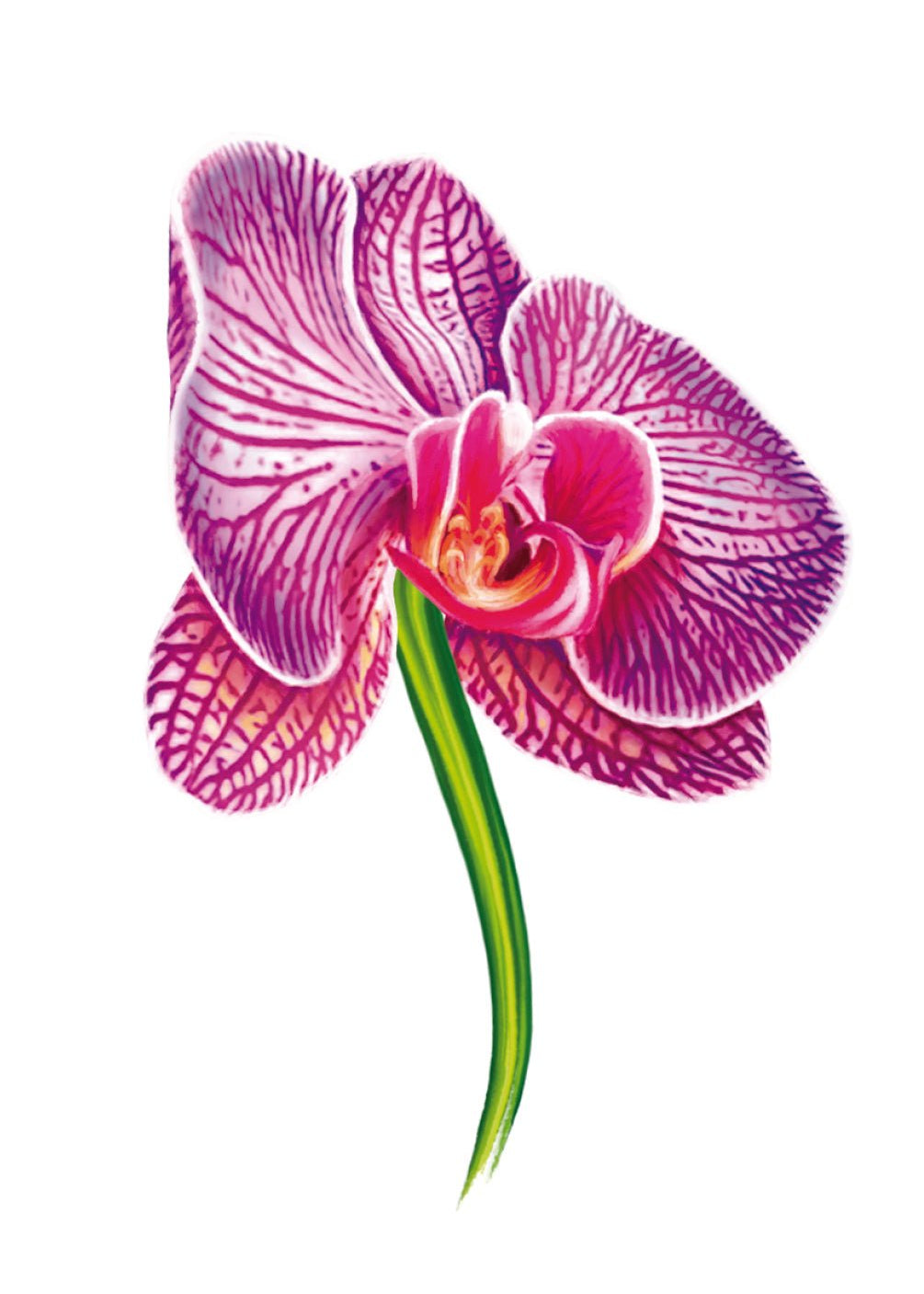 Purple Orchid Card - FreshCut Paper