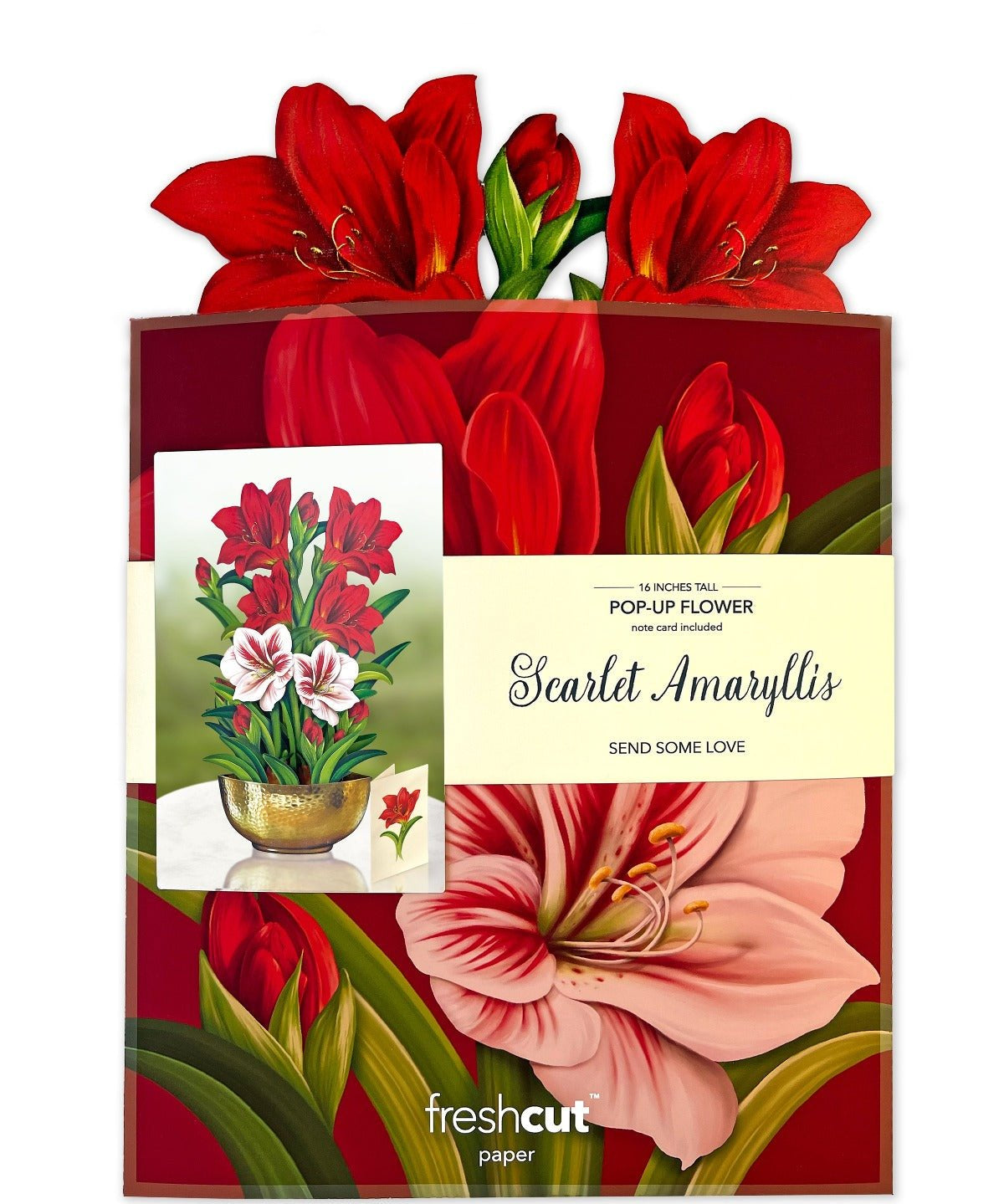 Scarlet Amaryllis - FreshCut Paper