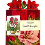 Scarlet Amaryllis - FreshCut Paper