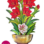 Scarlet Amaryllis - FreshCut Paper