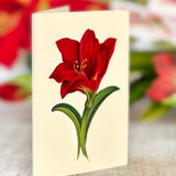 Scarlet Amaryllis - FreshCut Paper