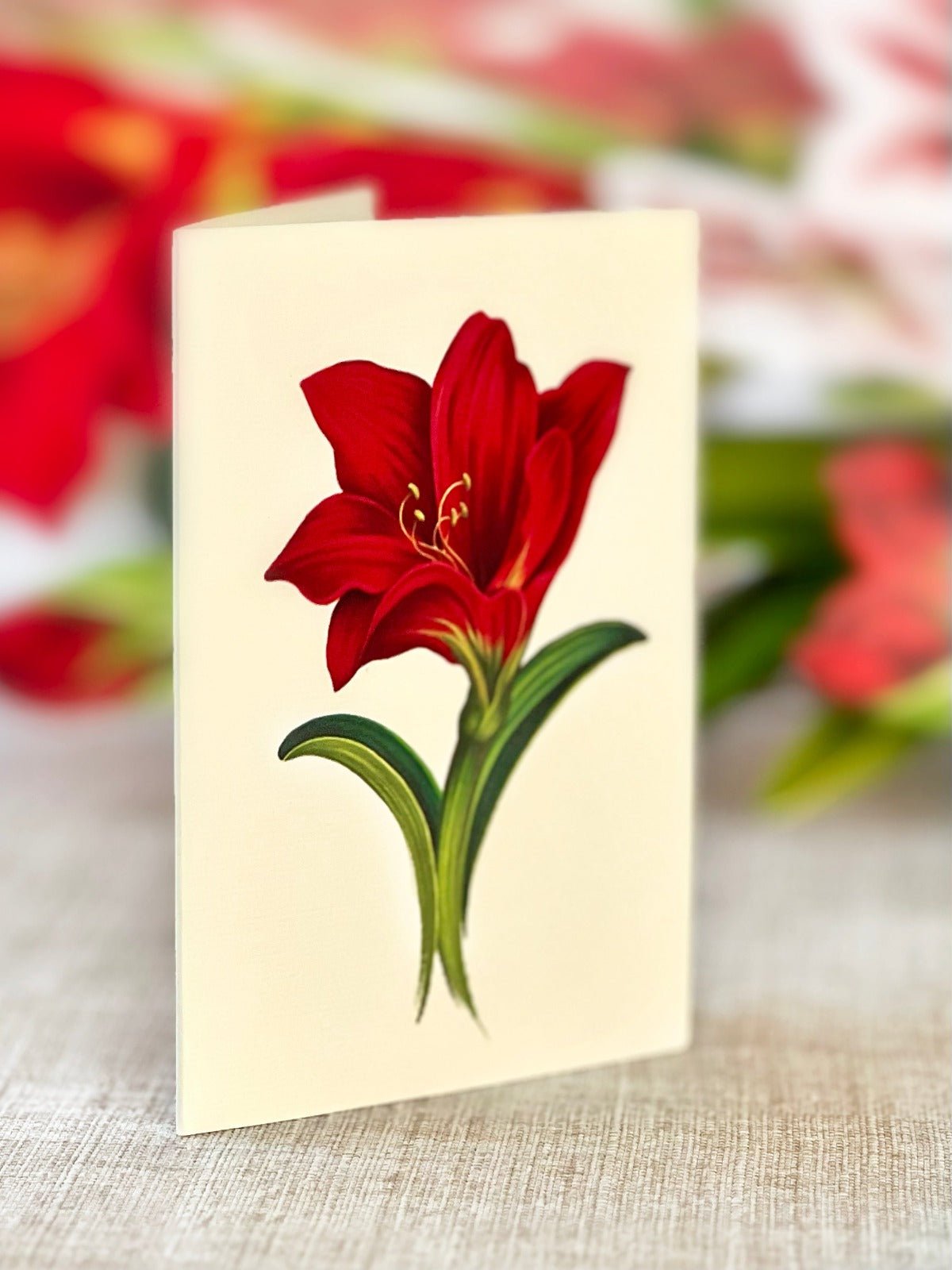 Scarlet Amaryllis - FreshCut Paper