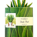 Snake Plant - FreshCut Paper