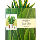 Snake Plant - FreshCut Paper