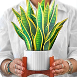 Snake Plant - FreshCut Paper