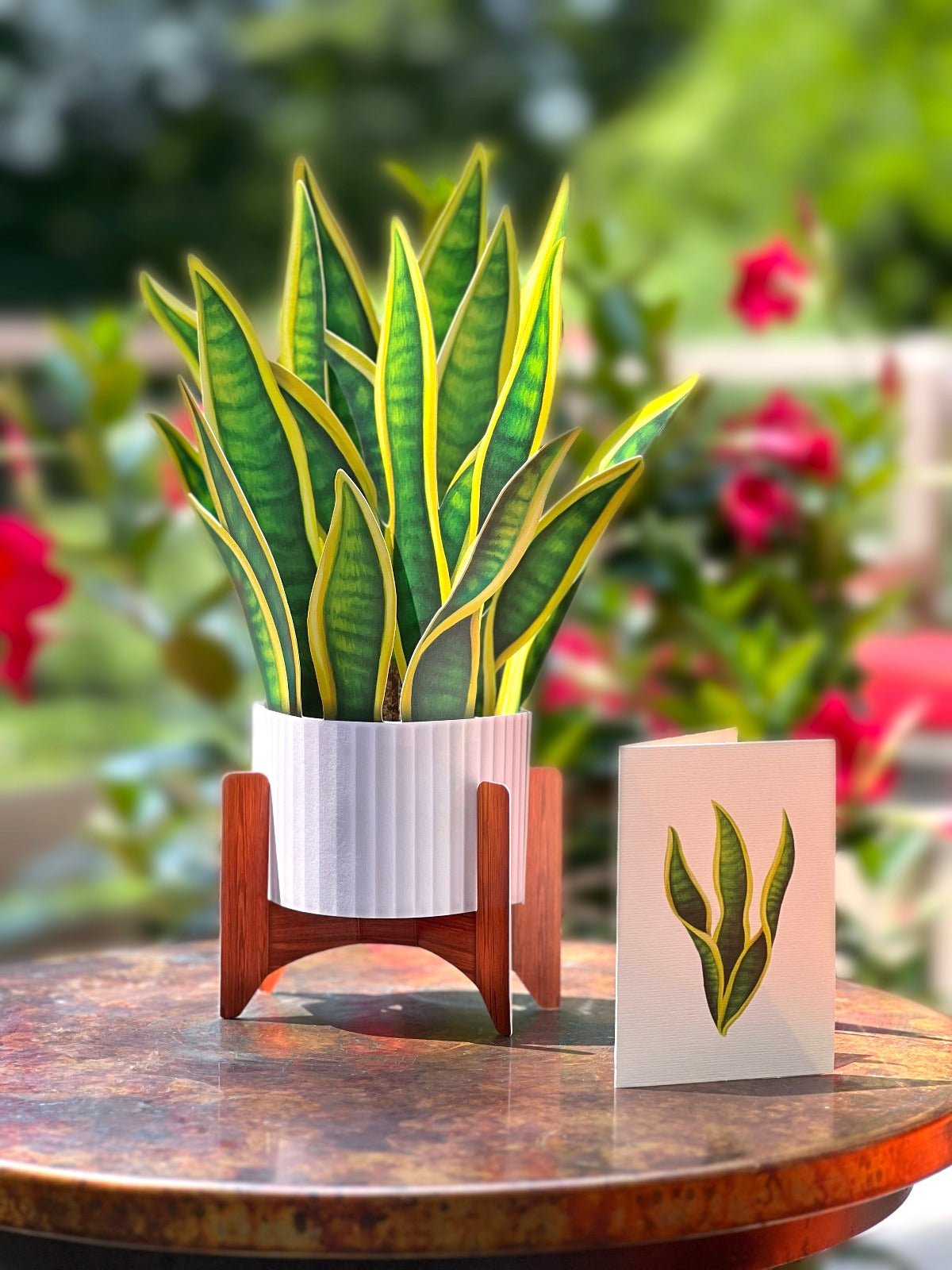 Snake Plant - FreshCut Paper