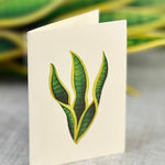 Snake Plant - FreshCut Paper