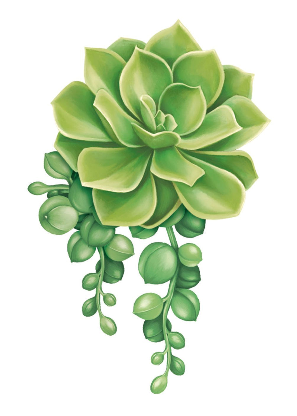 Succulent Card - FreshCut Paper