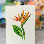 Tropical Bloom - FreshCut Paper