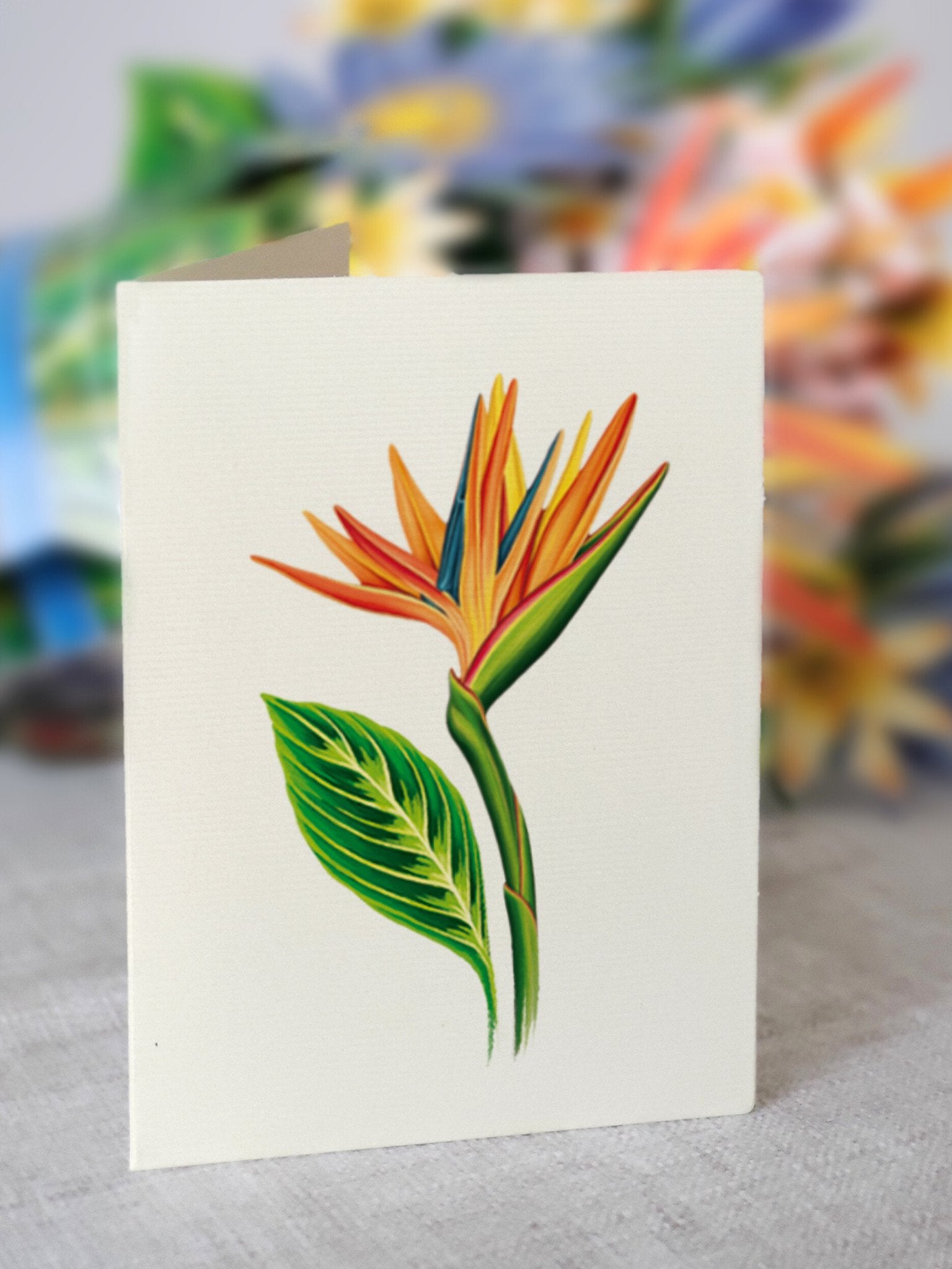 Tropical Bloom - FreshCut Paper